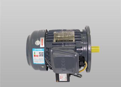 ETVF立式東元剎車電機(jī)