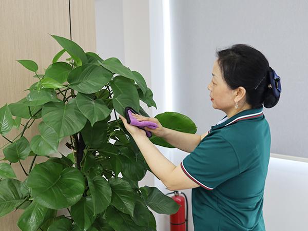 你真的了解保潔嗎？